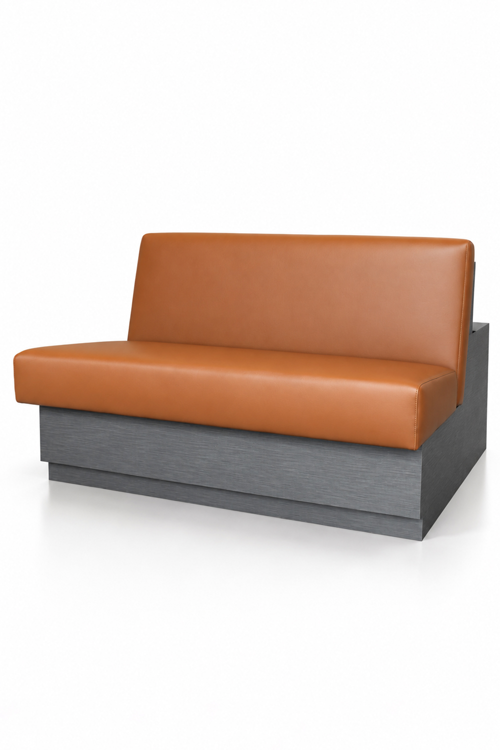 BRYCE Bench