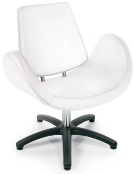 ALIPES Salon Chair-Black Plastic Base, Gas Pump