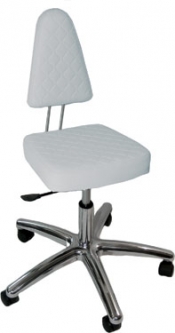 SQUARE TOP Rolling Stool with Back Rest